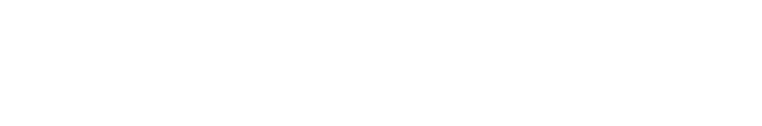 Logo-h-zoomark3